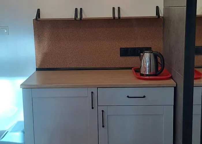 Dom, Pokoje, Prywatne Przy Rzezbie Rybaka Gasthof Rowy (Pomerania)